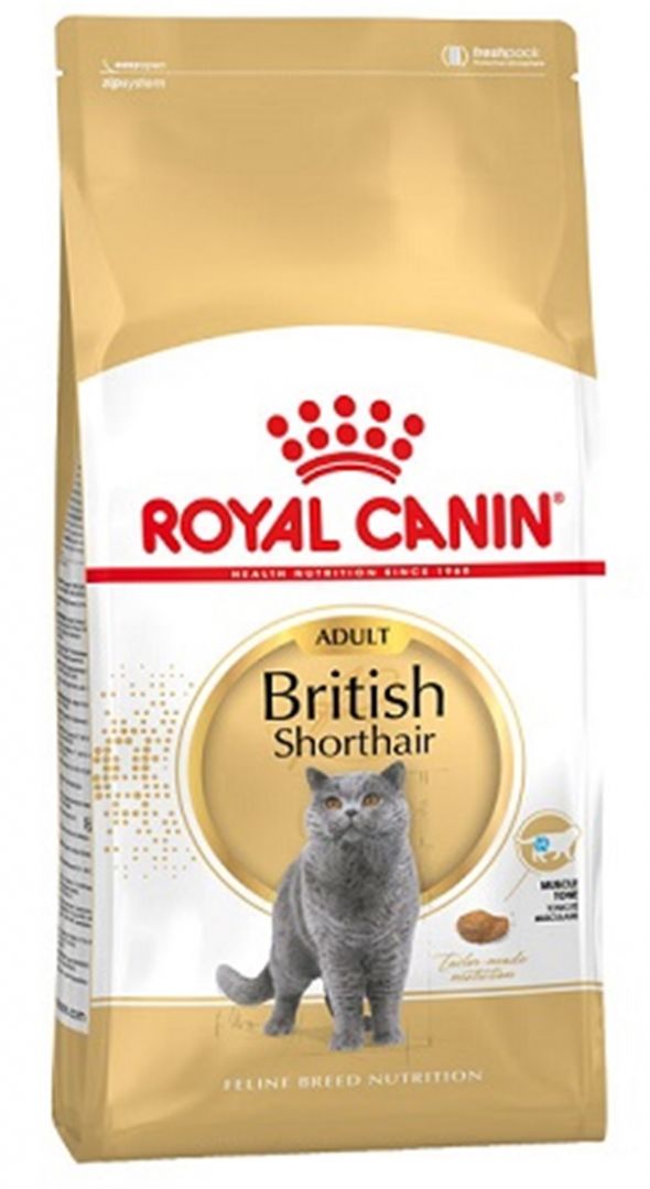 royal canin british shorthair מזון יבש לבריטים קצר - 10 ק"ג