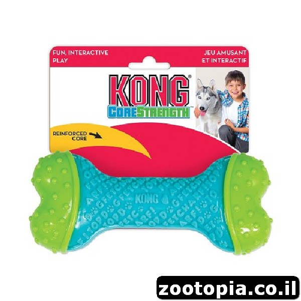 עצם כח גדול Kong CoreStrength M/L