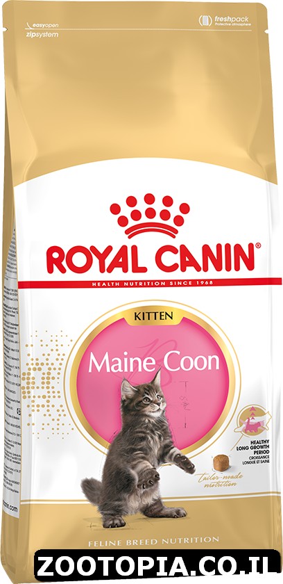 royal canin  kitten maine coon  מזון יבש לגורי מאי - 10 ק"ג