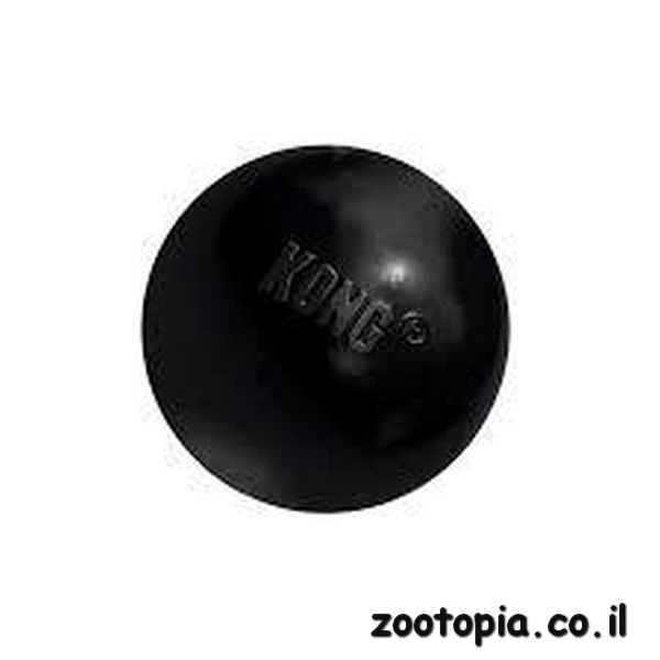 kong ball צעצוע כדור גומי חזק M/L