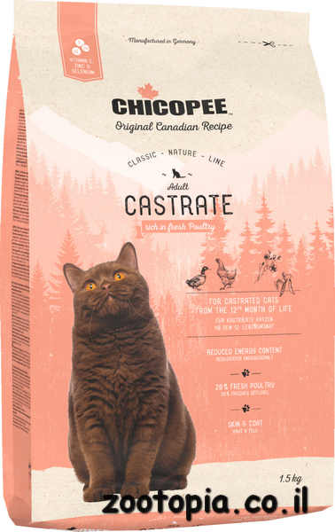 צ'יקופי חתול בוגר קסטרייט chicopee castrate cat - 15 ק"ג