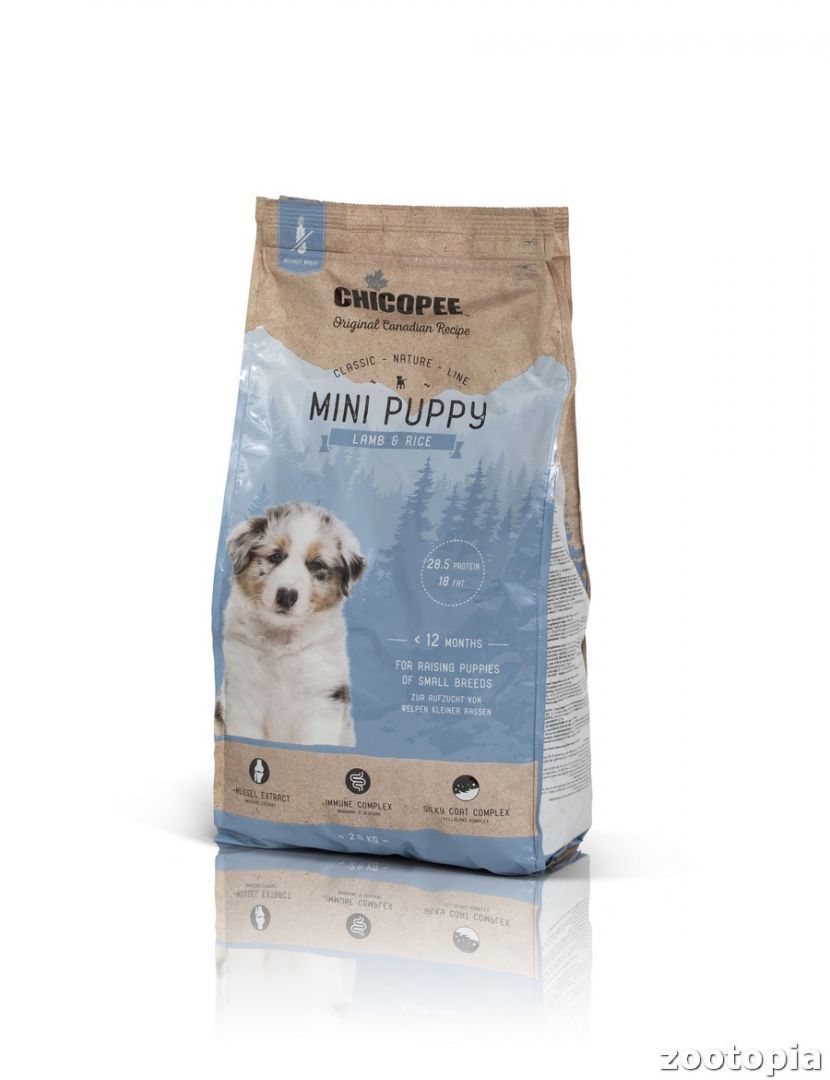 צ'יקופי כלב מיני גורים כבש chicopee mini puppy - 2 ק"ג