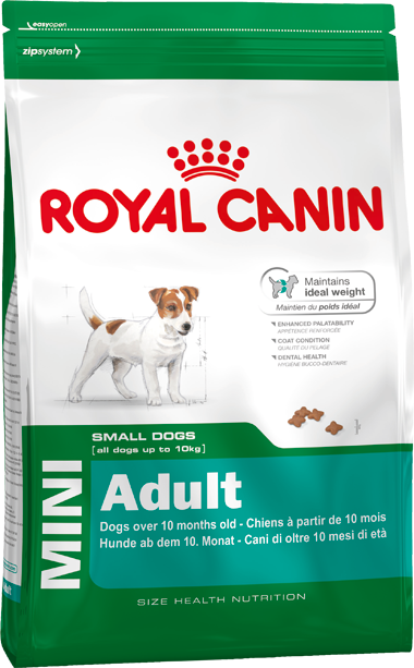 royal canin mini adult מזון יבש  כלבים בוגרים - 8 ק"ג